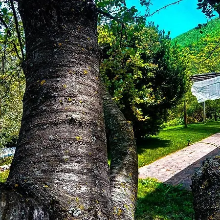 Locazione Turistica In Località Capodacqua Di Foligno Via Colle N 8 *